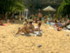 эльдорадо, песок, пляж, отдых, деревья, люди, отдыхающие
